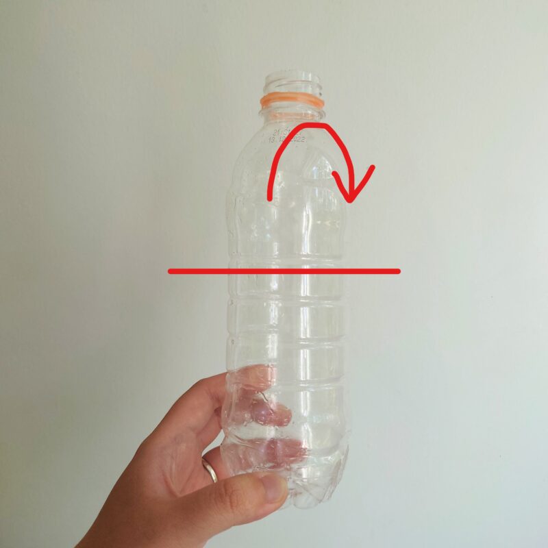 Common Way to Make Fruit Fly Trap